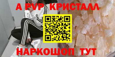 jwh Кингисепп