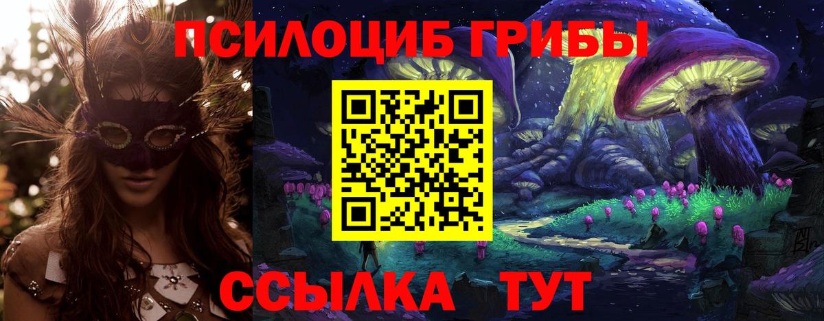 Галлюциногенные грибы Psilocybine cubensis Клинцы