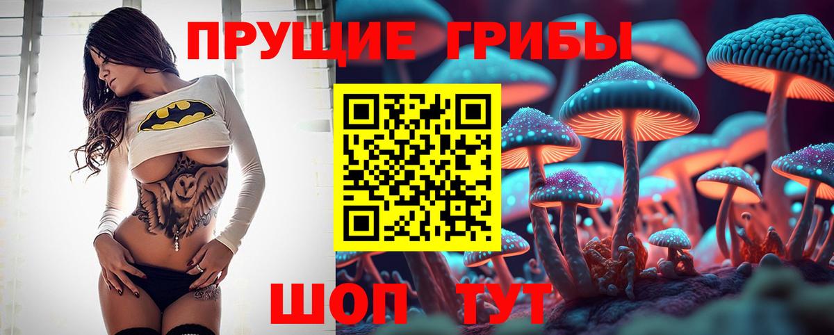 Галлюциногенные грибы MAGIC MUSHROOMS  Вход с VPN  Клинцы 