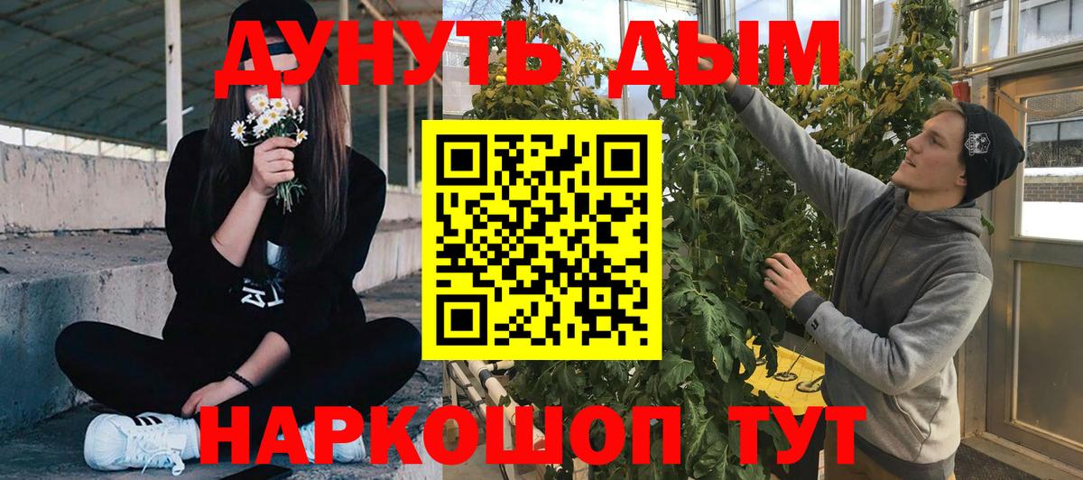 МАРИХУАНА Ganja  Канабис планчик  Клинцы  Вход с VPN 